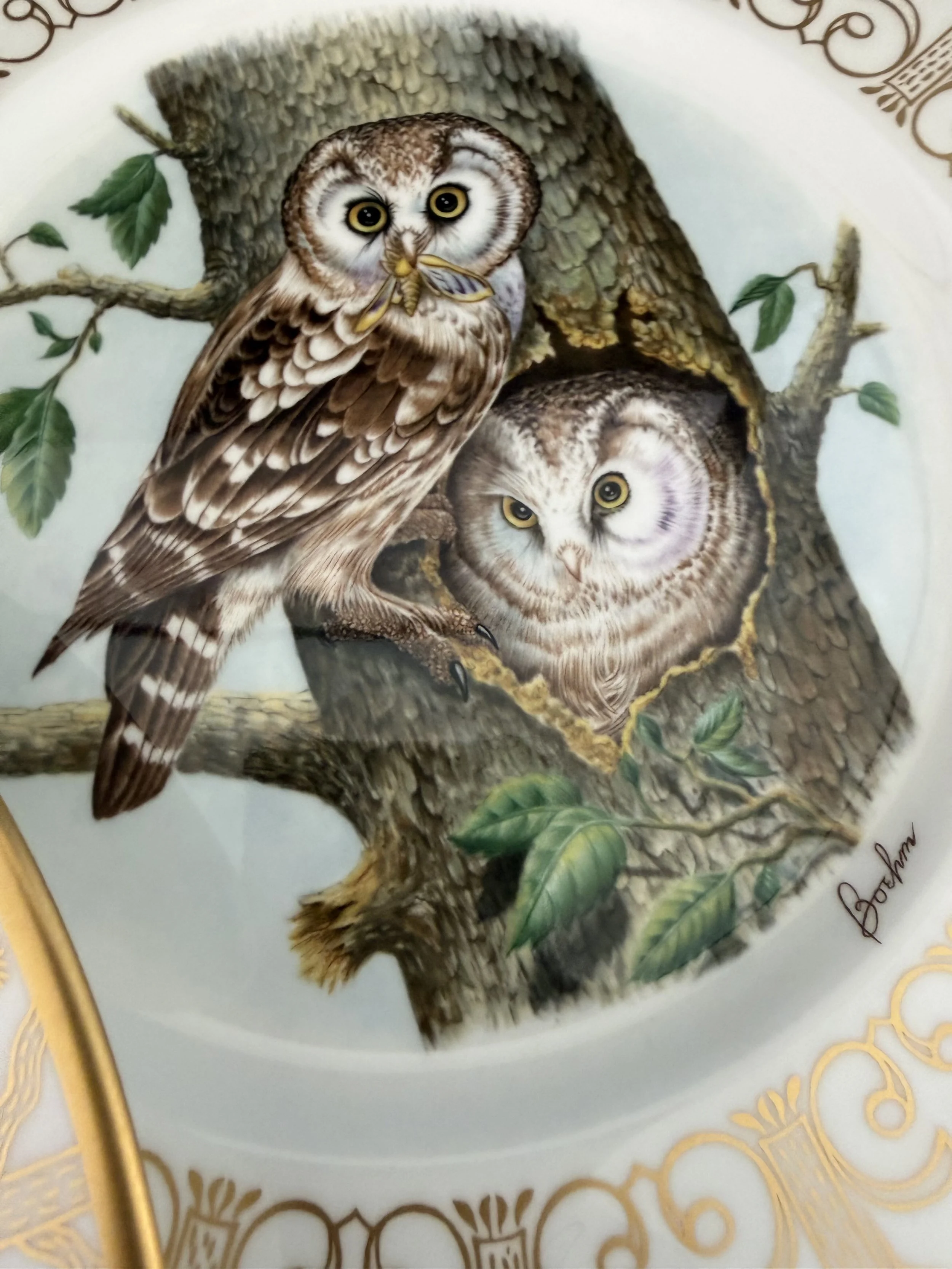 Elegant fine china sets | Lenox, Wedgwood, Spode and more — Fine